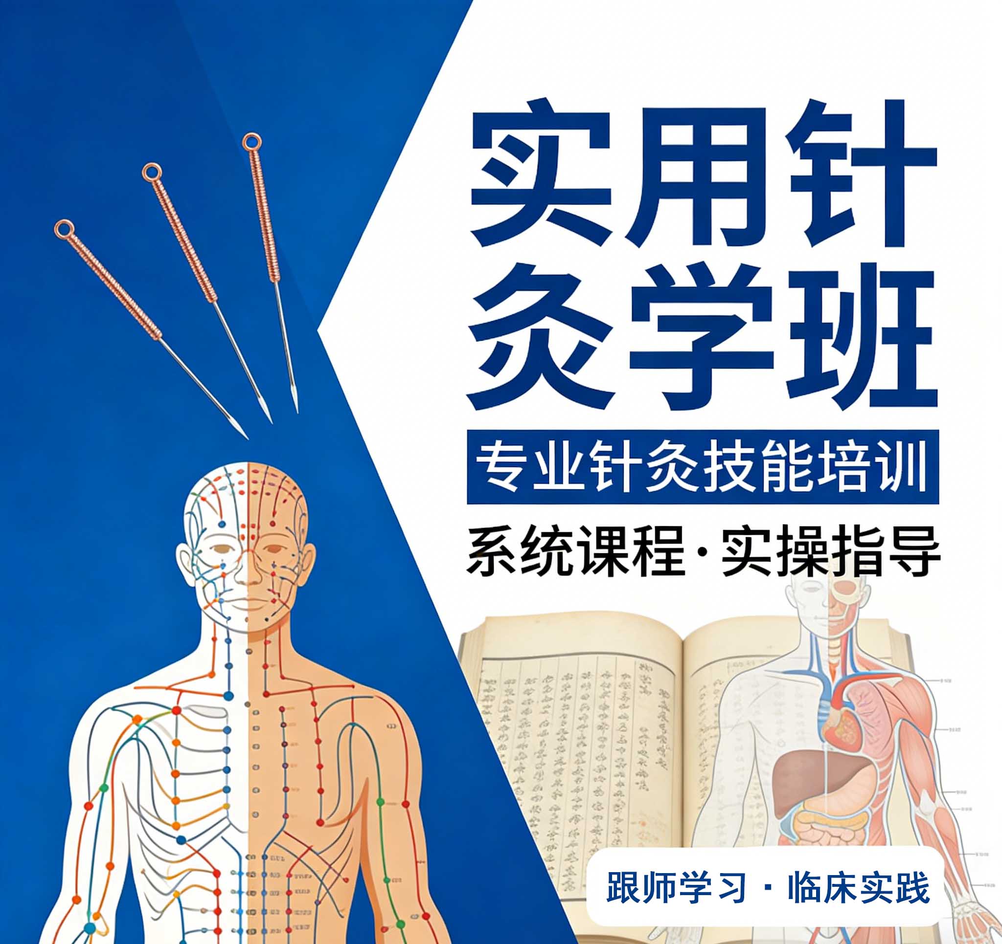 实用针灸班